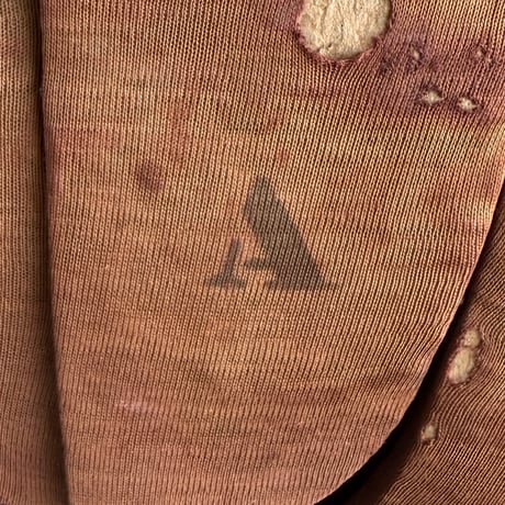 Torso