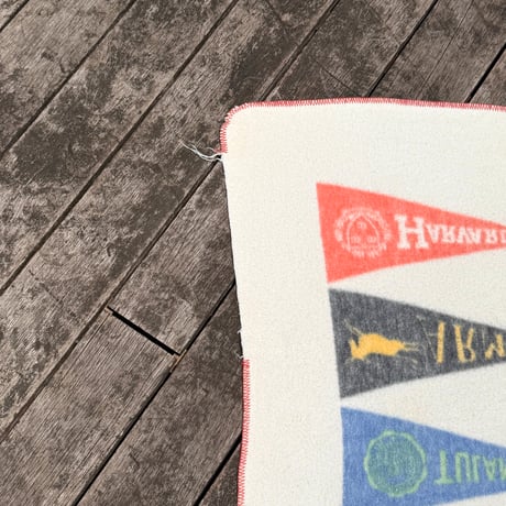 College Pennant Blanket