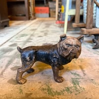 Bulldog Coin Bank