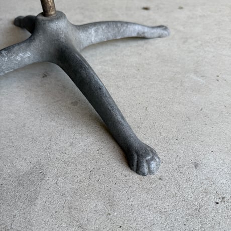 Torso