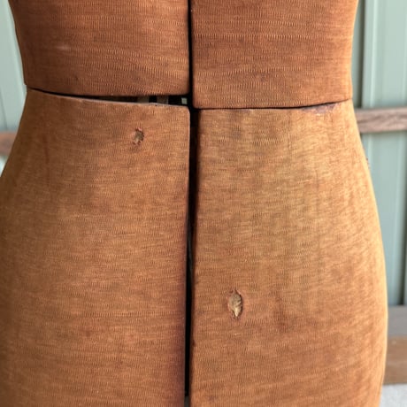 Torso