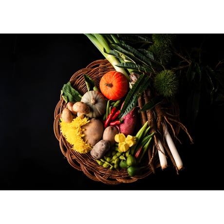 【11月：山の宅配便】出羽屋農園の秋野菜と秋鮭のセット