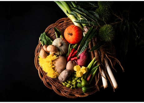 出羽屋の山菜料理＜増補版＞ 出羽屋の山菜料理＜増補版＞ | 出羽屋オンラインストア