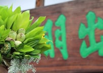 出羽屋の山菜料理<増補版> | 出羽屋オンラインストア 出羽屋の山菜料理<増補版> | 出羽屋オンラインストア