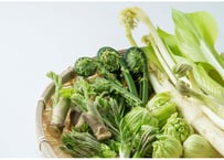 出羽屋の山菜料理＜増補版＞ | 出羽屋オンラインストア