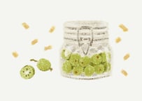 出羽屋の山菜料理＜増補版＞ | 出羽屋オンラインストア