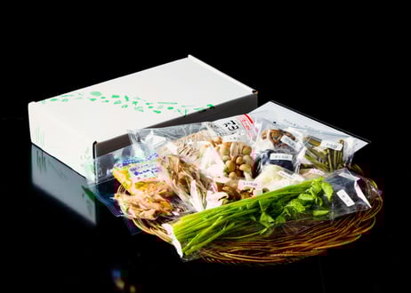 【山菜の日2025限定】月山山菜そばセット