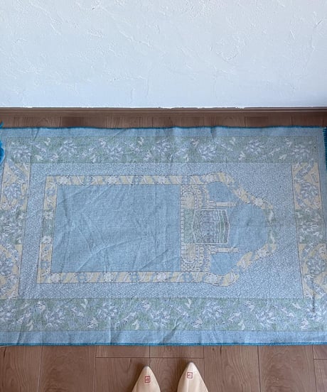 used_ rug