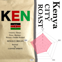 Kenya Kariaini AB 中深煎り 100g