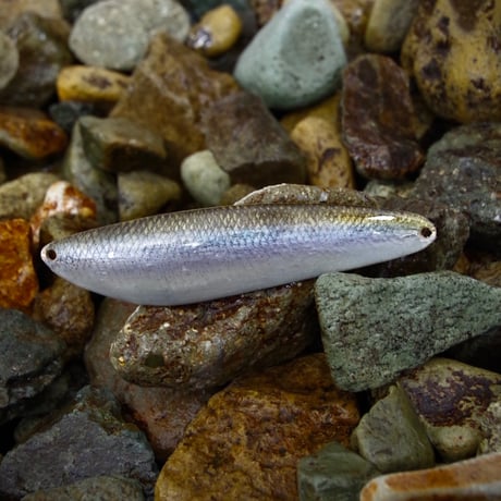 魚皮カウンターバック(北海ワカサギ/Hokkaido smelt)