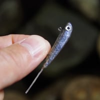 魚皮ハンクルフライ30 TG+0.6(ドライワカサギ)