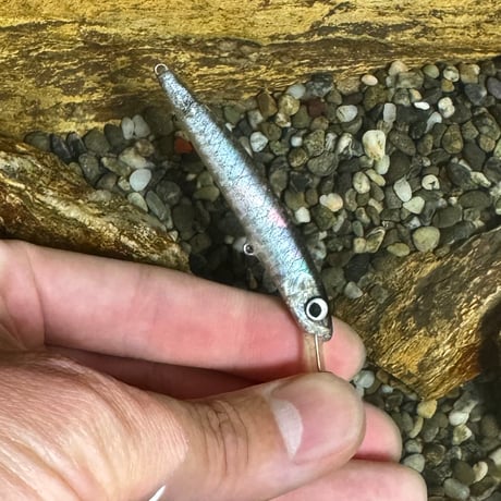 魚皮ザッガー65SP(ドライワカサギ夜光貝)