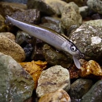 魚皮VISION ONETEN(北海ワカサギ/Hokkaido smelt)
