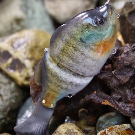 魚皮ギルロイドJr.(メスギル・マットフィニッシュ)