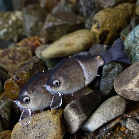 魚皮ギルロイドミニー(小鮒・マットフィニッシュ)