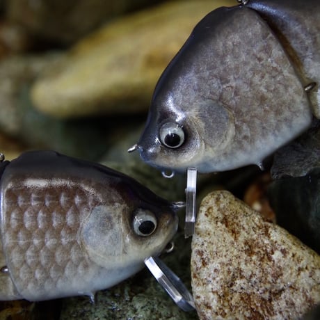 魚皮ギルロイドミニー(小鮒・マットフィニッシュ)