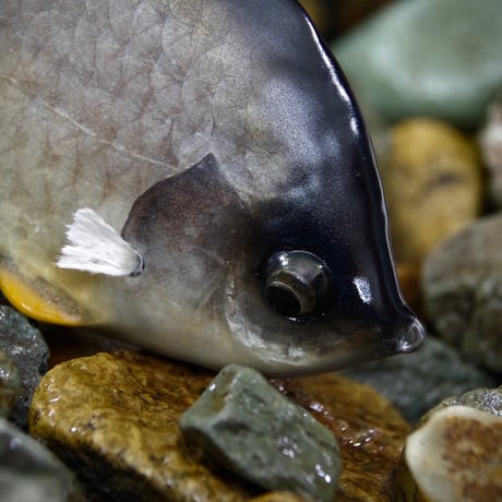 【特別受注】魚皮ブルシューター160/フィネスカスタム(寒鮒)