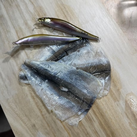 魚皮VISION ONETEN(北海ワカサギ/Hokkaido smelt)