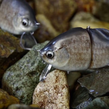 魚皮ギルロイドミニー(小鮒・マットフィニッシュ)