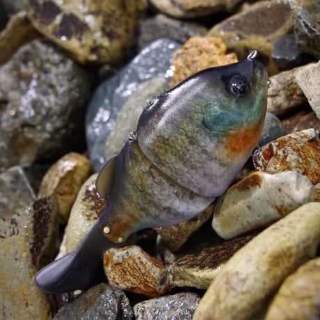魚皮ギルロイドJr.(メスギル・マットフィニッシュ)