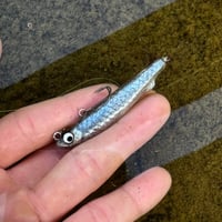 魚皮グリマー6(ドライワカサギ)