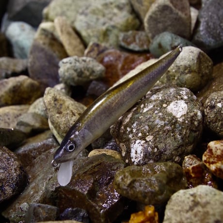 魚皮VISION ONETEN(北海ワカサギ/Hokkaido smelt)