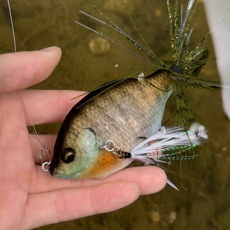 魚皮ジョイントゾーイ(メスギル・マットフィニッシュ)