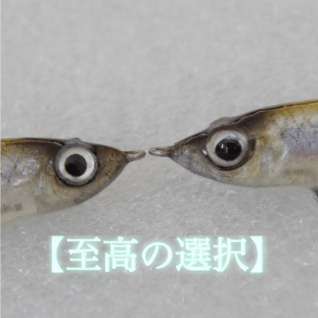 魚皮トラファルガー5(ワカサギ・マットフィニッシュ)