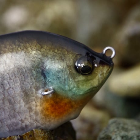 魚皮ジョイントゾーイ(メスギル・マットフィニッシュ)