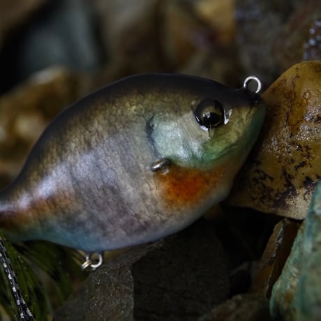 魚皮ジョイントゾーイ(メスギル・マットフィニッシュ)