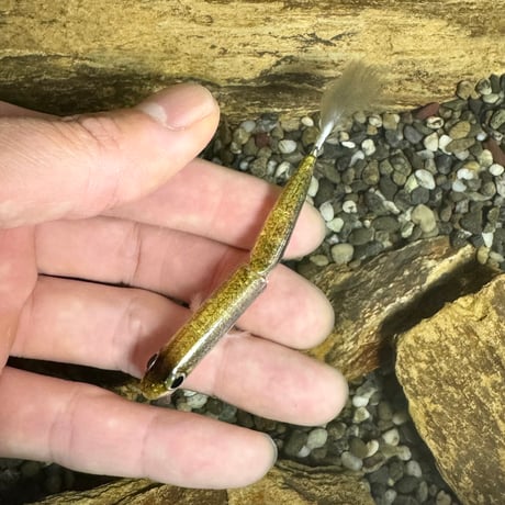 魚皮オーバーリアル63ウェイク(ワカサギ・マットフィニッシュ)