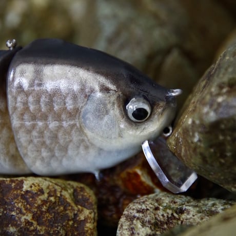 魚皮ギルロイドミニー(小鮒・マットフィニッシュ)