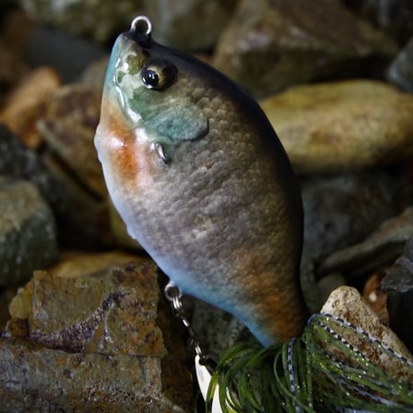 魚皮ジョイントゾーイ(メスギル・マットフィニッシュ)