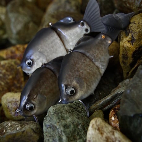 魚皮ギルロイドミニー(小鮒・マットフィニッシュ)