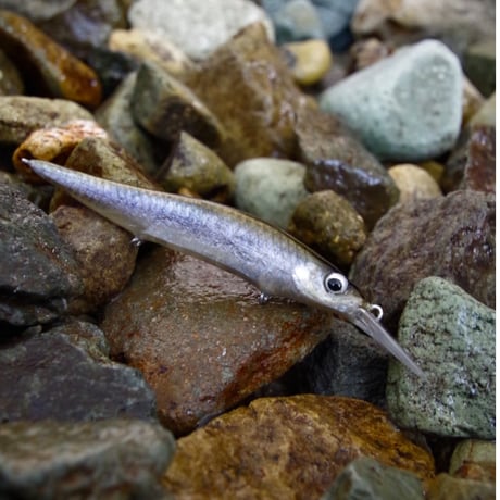 魚皮VISION ONETEN+1Jr.(北海ワカサギ/Hokkaido smelt)