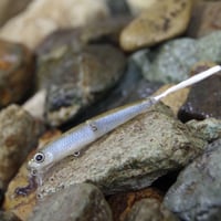 魚皮オーバーリアル63ウェイク(ワカサギ・マットフィニッシュ)