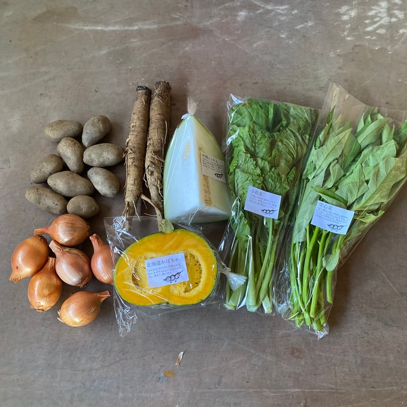 単発】野菜セットSサイズ（7品） | きくち農園