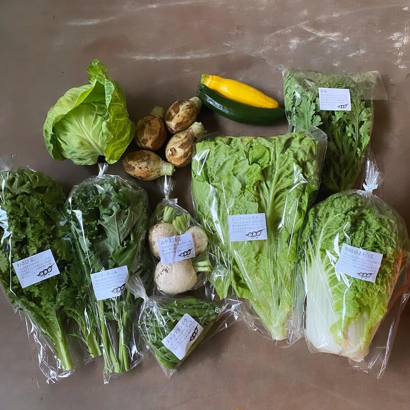 単発】野菜ボックス M(9〜10品) | きくち農園 単発】野菜ボックス M(9〜10品) | きくち農園