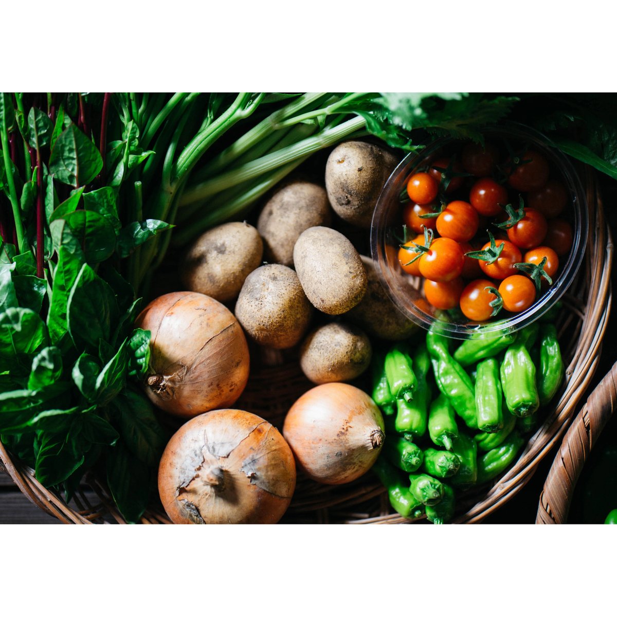 単発】野菜セットSサイズ（7品） | きくち農園