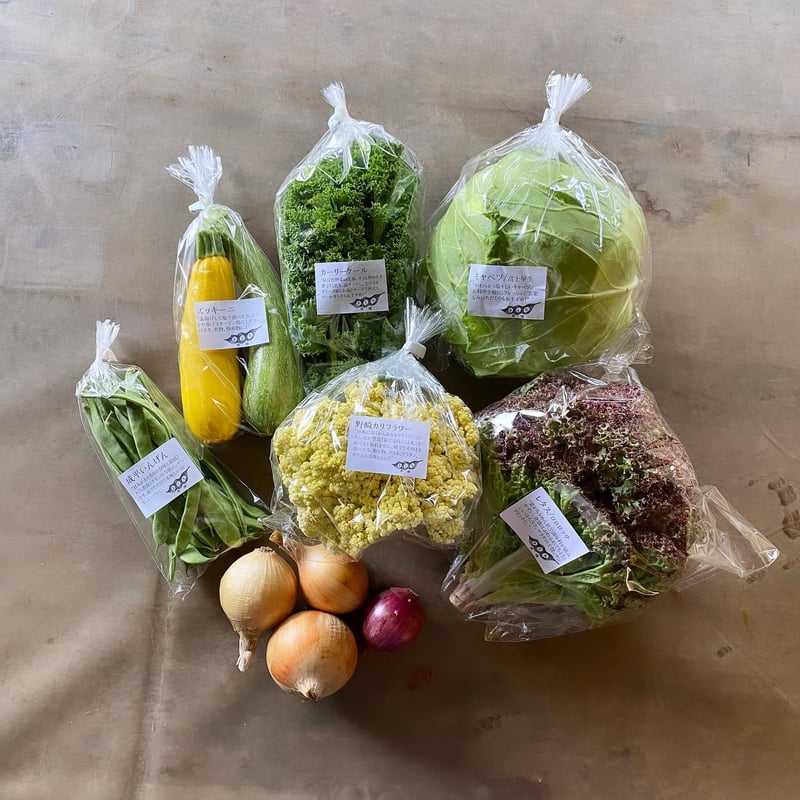 単発】野菜セットSサイズ（7品） | きくち農園