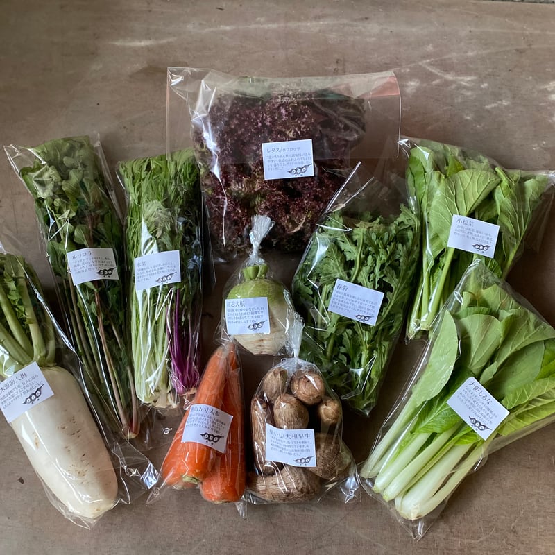 単発】野菜セット たっぷりサイズ（8種類・2倍量） | きくち農園
