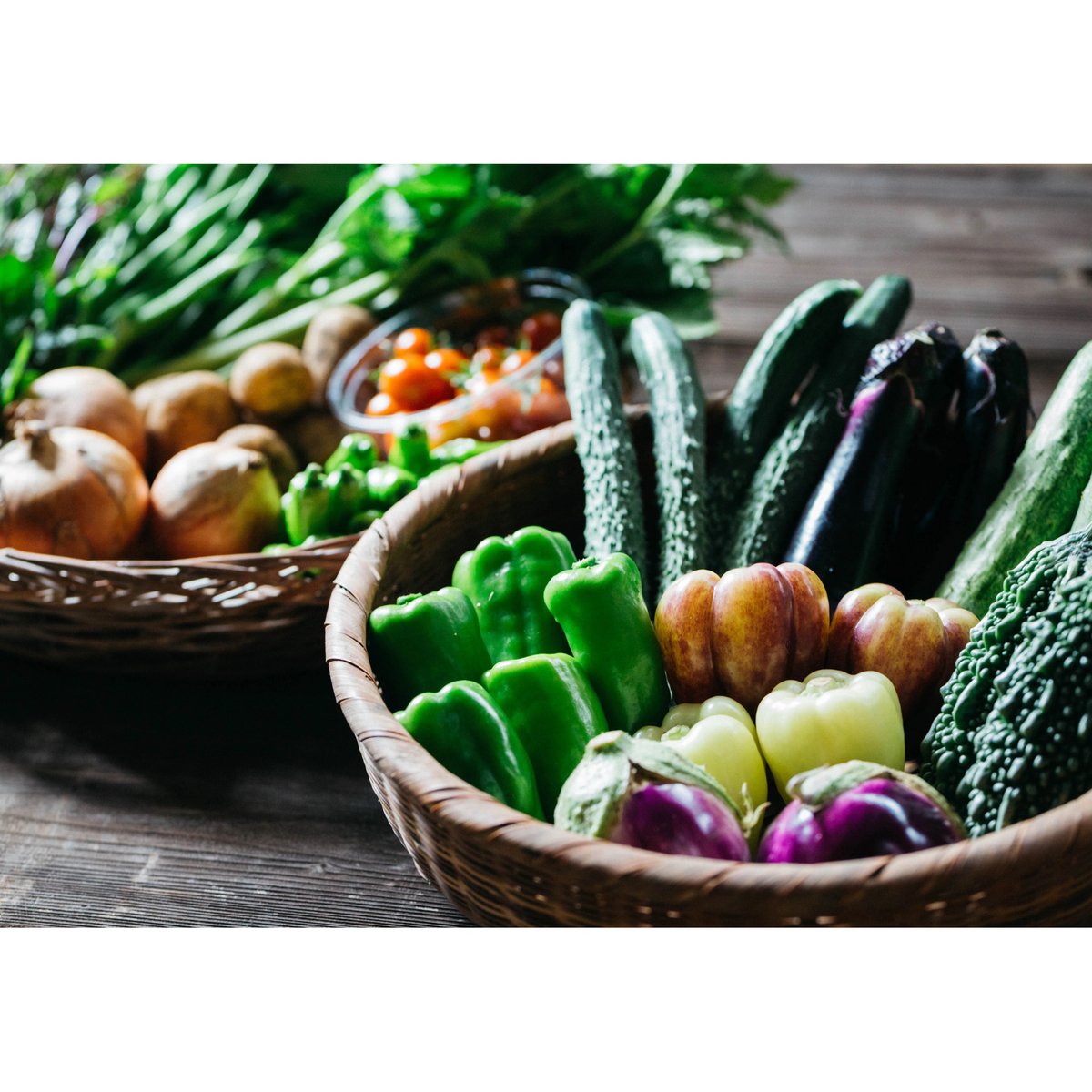 単発】野菜セット たっぷりサイズ（8種類・2倍量） | きくち農園