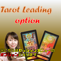 【セッションオプション】タロットリーディング+５種のオラクルカードリーディング