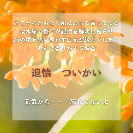 ステック香　追懐〜ついかい〜