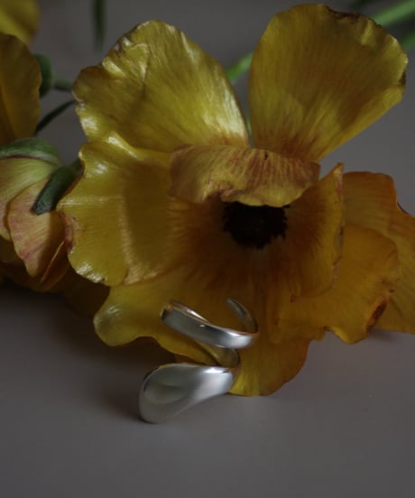 Drop ring(MA-R-18)