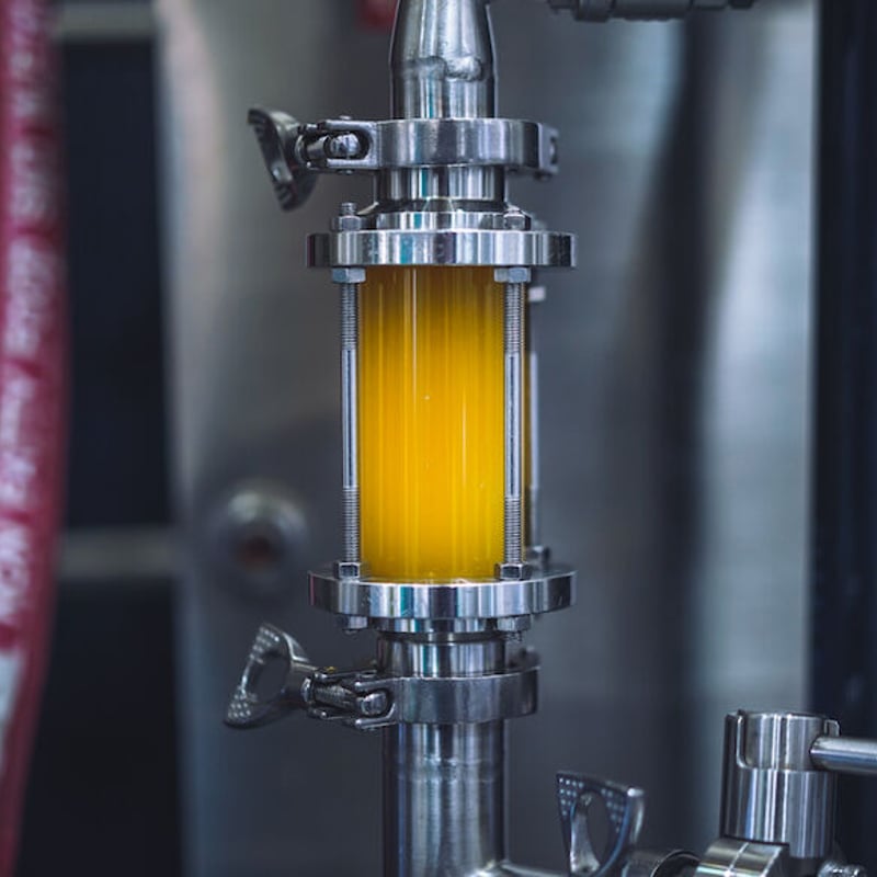 ノムクラベセット グラス付〉定番2種と限定1種 | NOMCRAFT BREWING ONL