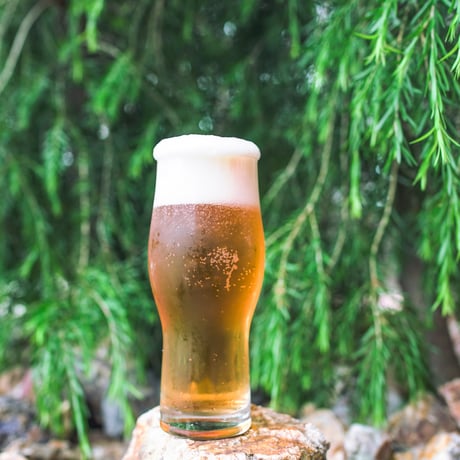 Con Safos / コンサフォス　〈Mexican Lager〉