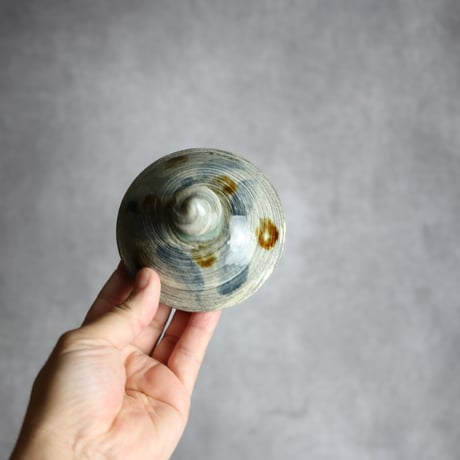 3寸蓋物1 タラフー 飴 呉須釉 刷毛目 格子点打 やちむん 陶器 百草陶房 : 7032056