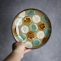 7寸皿1 貝紋 やちむん 陶器 エドメ陶房:7201005