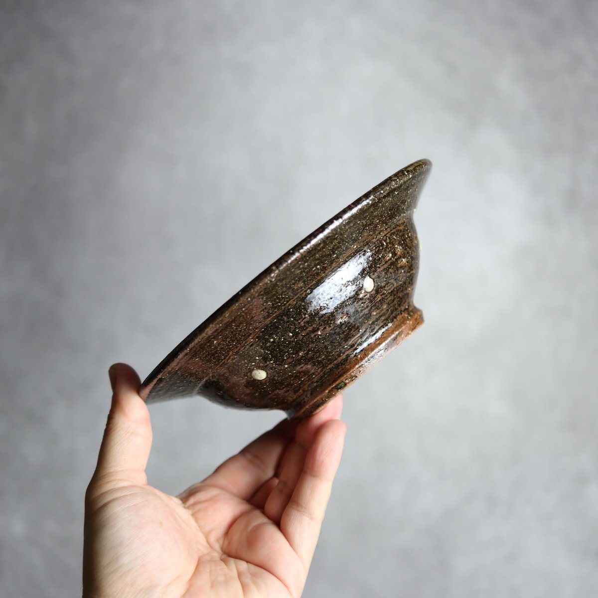 ムルチフィズム 陶器鉢付き 発根済み 楽天市場】☆特価☆コーデックス：サルコカウロン ムルチフィズム 発根